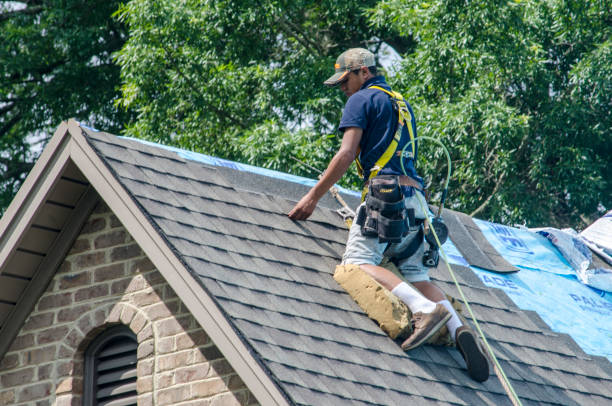 Best Roof Gutter Cleaning  in Crouch Mesa, NM